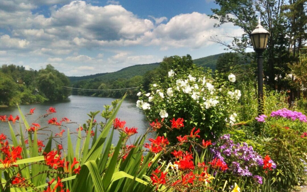 Work Remotely in the Berkshires